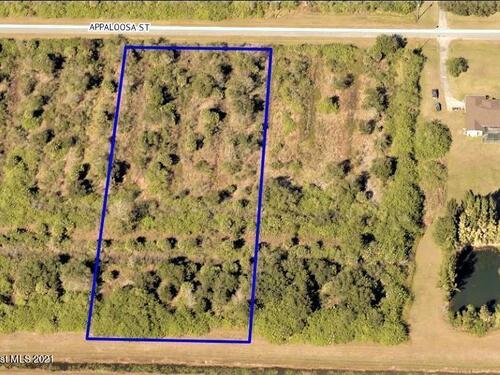 273 Appaloosa Street, Palm Bay, FL 32909