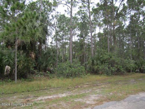 467 Fleetwood Street, Palm Bay, FL 32908