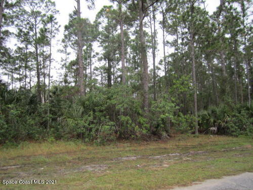 539 Searle Avenue SW, Palm Bay, FL 32908