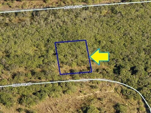 1505 Zinnia Terrace SW, Palm Bay, FL 32908