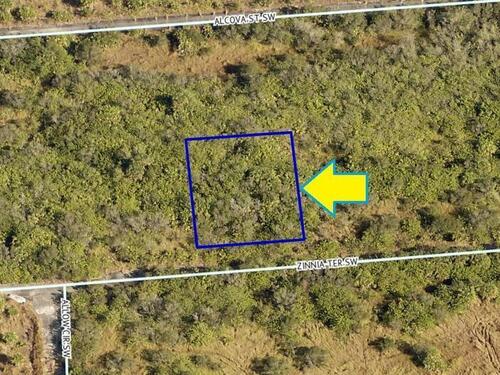 1535 Zinnia Terrace SW, Palm Bay, FL 32908