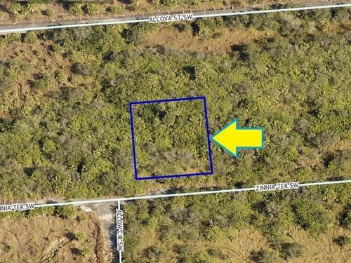 1545 Zinnia Terrace SW, Palm Bay, FL 32908