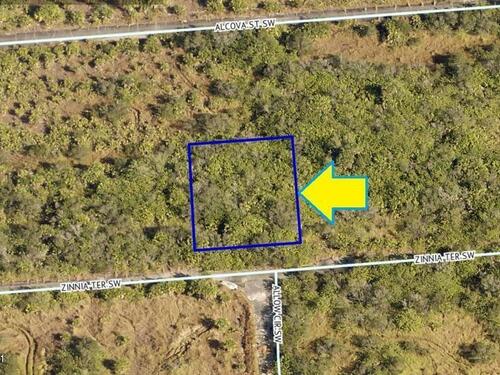 1555 Zinnia Terrace SW, Palm Bay, FL 32908