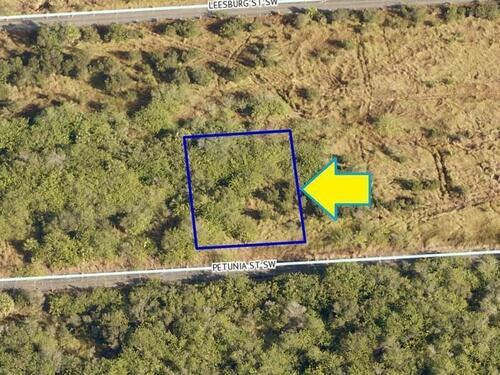 1573 Petunia Street SW, Palm Bay, FL 32908