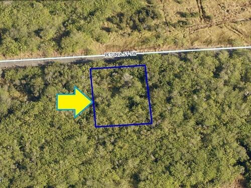 1574 Petunia Street SW, Palm Bay, FL 32908