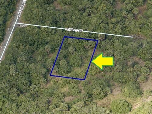 972 Morel Court SW, Palm Bay, FL 32908