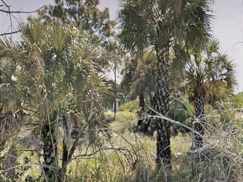 512 Mimosa Street SW, Palm Bay, FL 32908