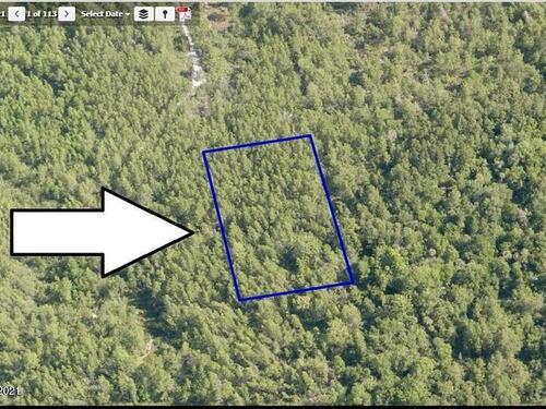 00000 No Access North West Of Patty, Mims, FL 32754