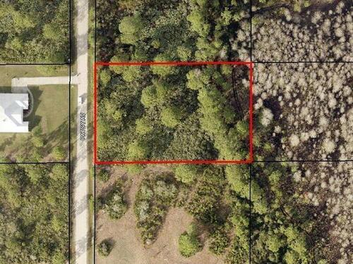 Patsy Avenue, Palm Bay, FL 32909