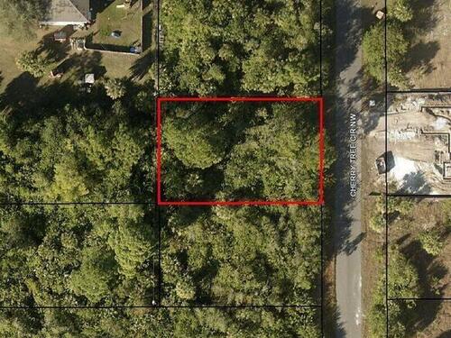 308 Cherry Tree Circle NW, Palm Bay, FL 32907