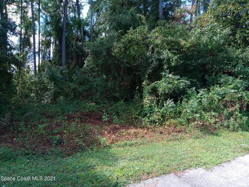 1240 Salina Street SE, Palm Bay, FL 32909