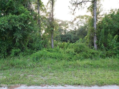 220 Alegriano Road NW, Palm Bay, FL 32907