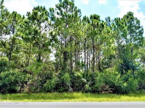 2241 San Filippo Drive SE, Palm Bay, FL 32909