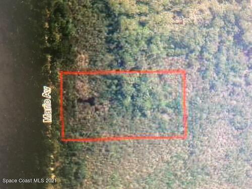 Mario Avenue, Cocoa, FL 32926