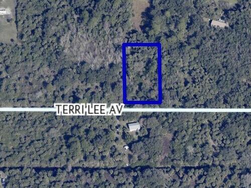 Terri Lee Avenue, Cocoa, FL 32926