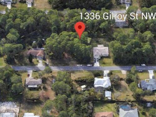 1336 Gilroy Street NW, Palm Bay, FL 32907
