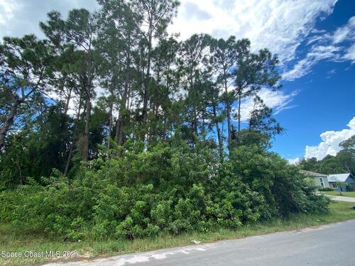 790 Avalon Street SE, Palm Bay, FL 32909