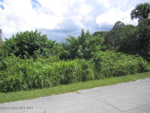 1539 Van Camp Avenue SE, Palm Bay, FL 32909