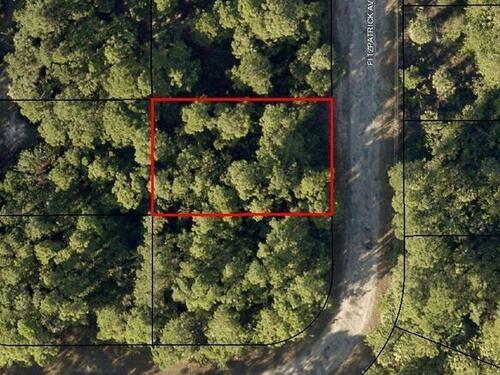 3390 Fitzpatrick Avenue SW, Palm Bay, FL 32908