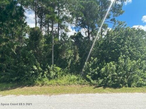 2643 Laffite Avenue SW, Palm Bay, FL 32908