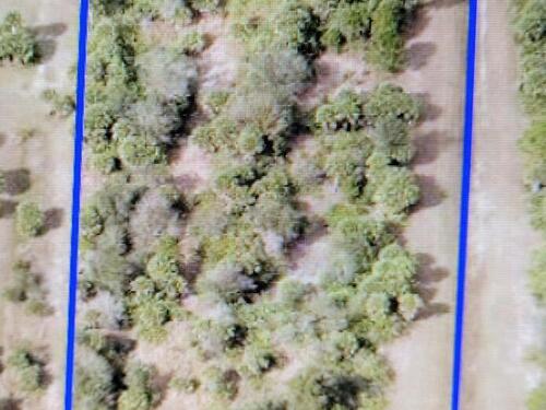 186 Cavalier Street, Palm Bay, FL 32909