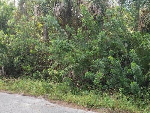 858 Peyton Avenue SW, Palm Bay, FL 32908