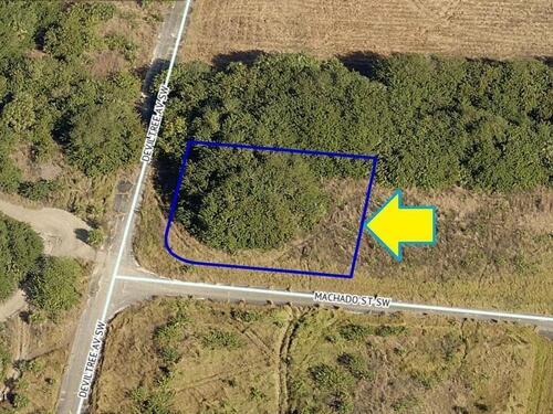 1399 Machado Street SW, Palm Bay, FL 32908