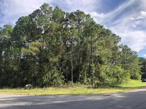 Oleander Lane NW, Palm Bay, FL 32907