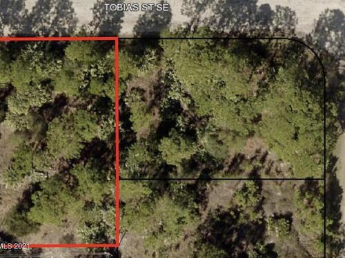 466 Tobias Street SE, Palm Bay, FL 32909