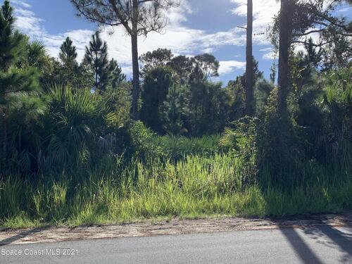 2931 Gaffney Avenue SE, Palm Bay, FL 32909