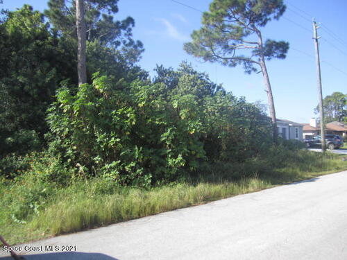 356 Brookedge Street NE, Palm Bay, FL 32907