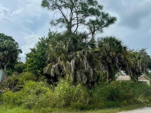 410 Alameda Avenue SE, Palm Bay, FL 32909