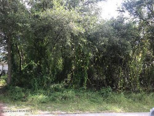 773 Santo Domingo Avenue SW, Palm Bay, FL 32908