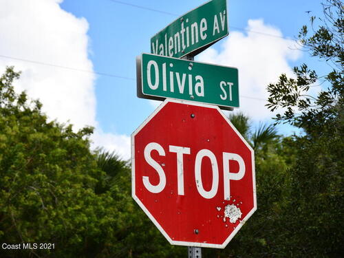 615 Olivia Street SW, Palm Bay, FL 32908