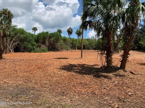 6163 Boomerang Lane, Merritt Island, FL 32953