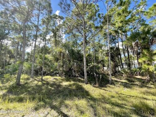 712 Griffin Avenue SW, Palm Bay, FL 32908