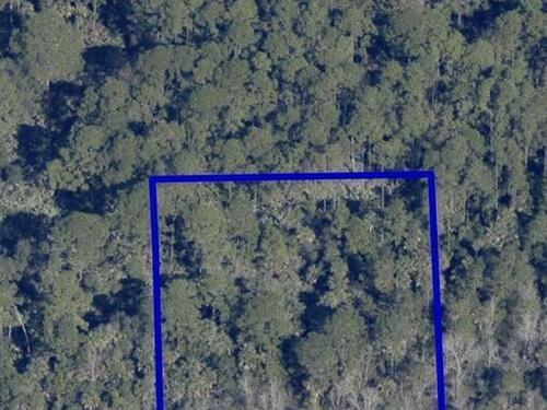 Doug Williams Avenue, Cocoa, FL 32926