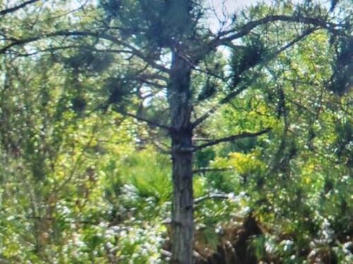 2265 Queens Street SE, Palm Bay, FL 32909