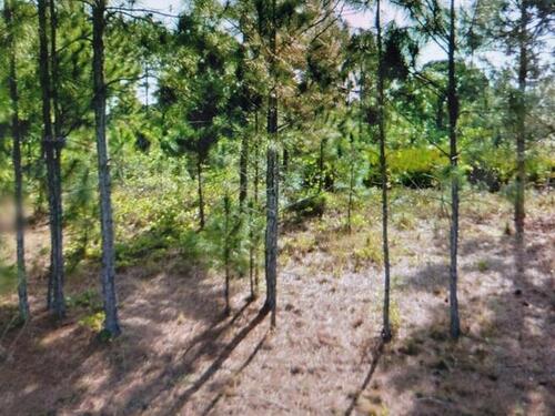 2295 Queens Street SE, Palm Bay, FL 32909