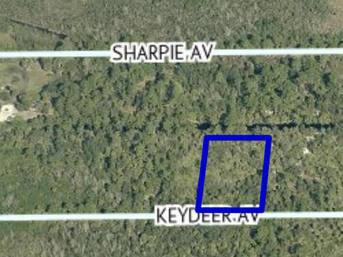 Key Deer Avenue, Cocoa, FL 32926