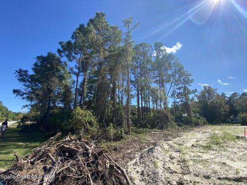 780 Geddes Street SW, Palm Bay, FL 32908