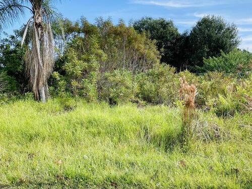 245 Van Loon Avenue NE, Palm Bay, FL 32907