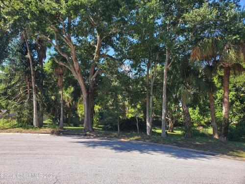 Mango, Merritt Island, FL 32952