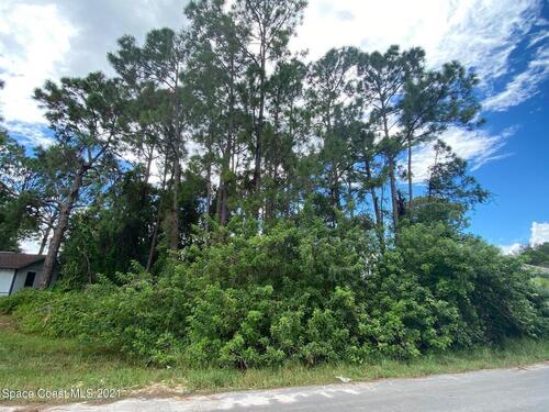 790 Avalon Street SE, Palm Bay, FL 32909