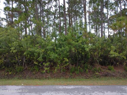 433 Ladyslipper Street SW, Palm Bay, FL 32908