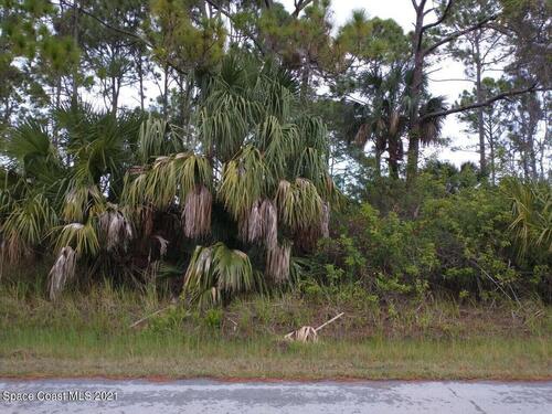 441 Ladyslipper Street SW, Palm Bay, FL 32908