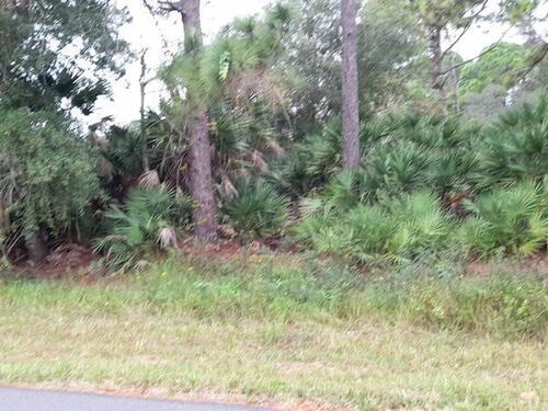 2562 Ramsdale Drive SE, Palm Bay, FL 32909