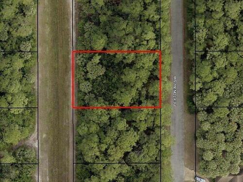 826 Peyton Avenue SW, Palm Bay, FL 32908