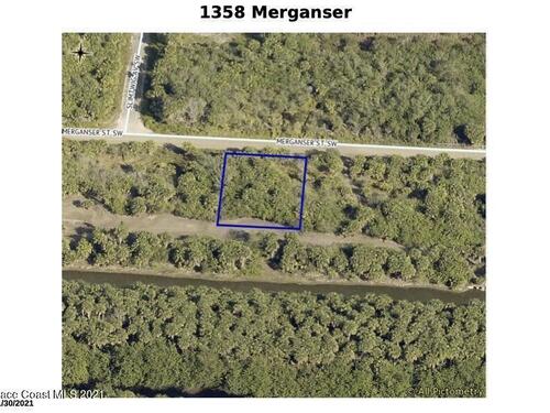 1358 Merganser Street SW, Palm Bay, FL 32908