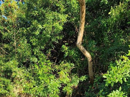 155 Decordre Road SE, Palm Bay, FL 32909